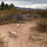 Review photo of Dead Horse Ranch State Park Campground by Katie E., December 17, 2020