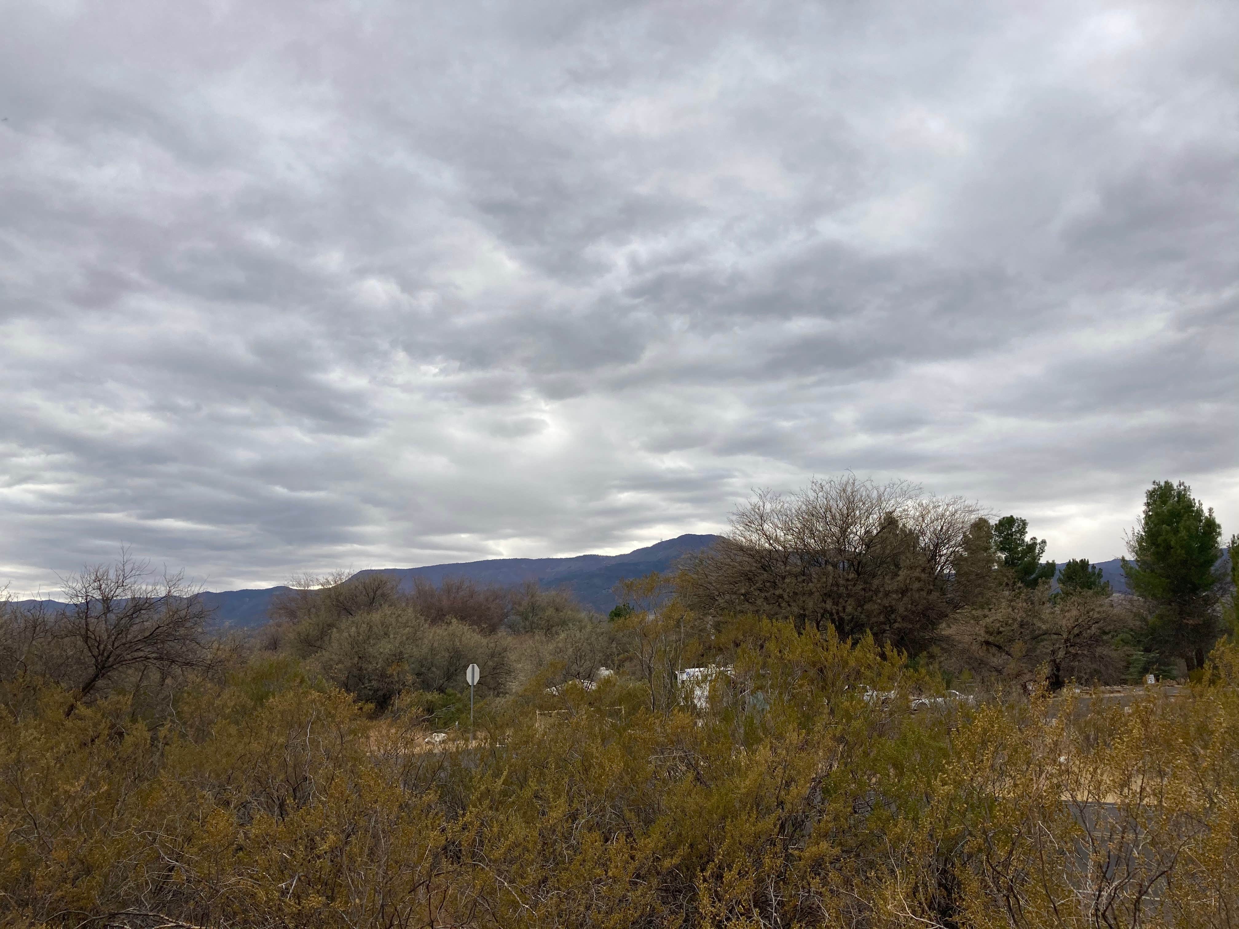 Camper-submitted photo at Dead Horse Ranch State Park Campground near Cottonwood, AZ