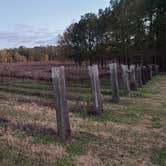 Review photo of Whippoorwill Vineyards by Adam V., December 17, 2020