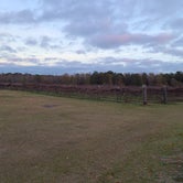 Review photo of Whippoorwill Vineyards by Adam V., December 17, 2020