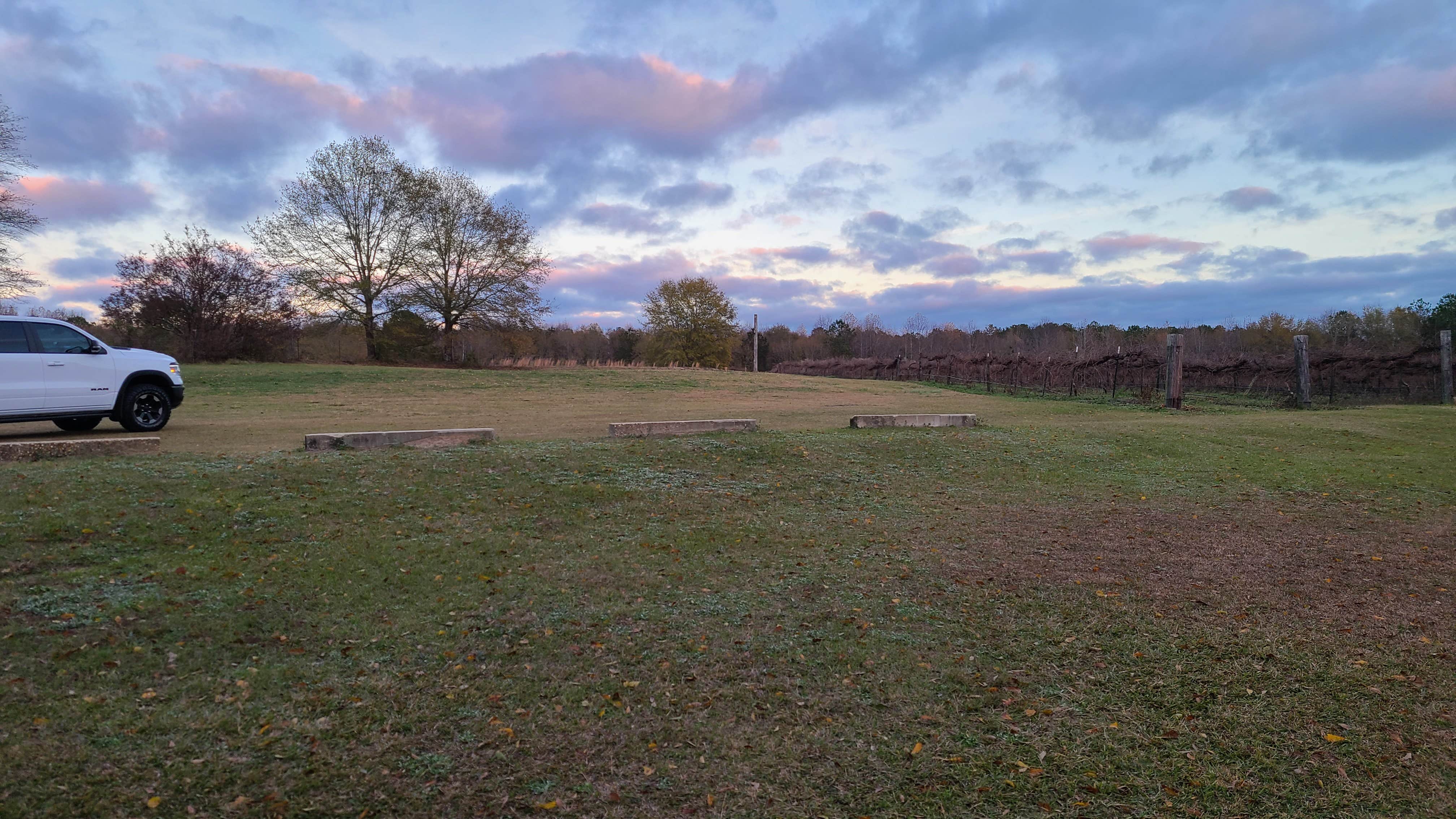 Camper-submitted photo at Whippoorwill Vineyards near Tuskegee, AL