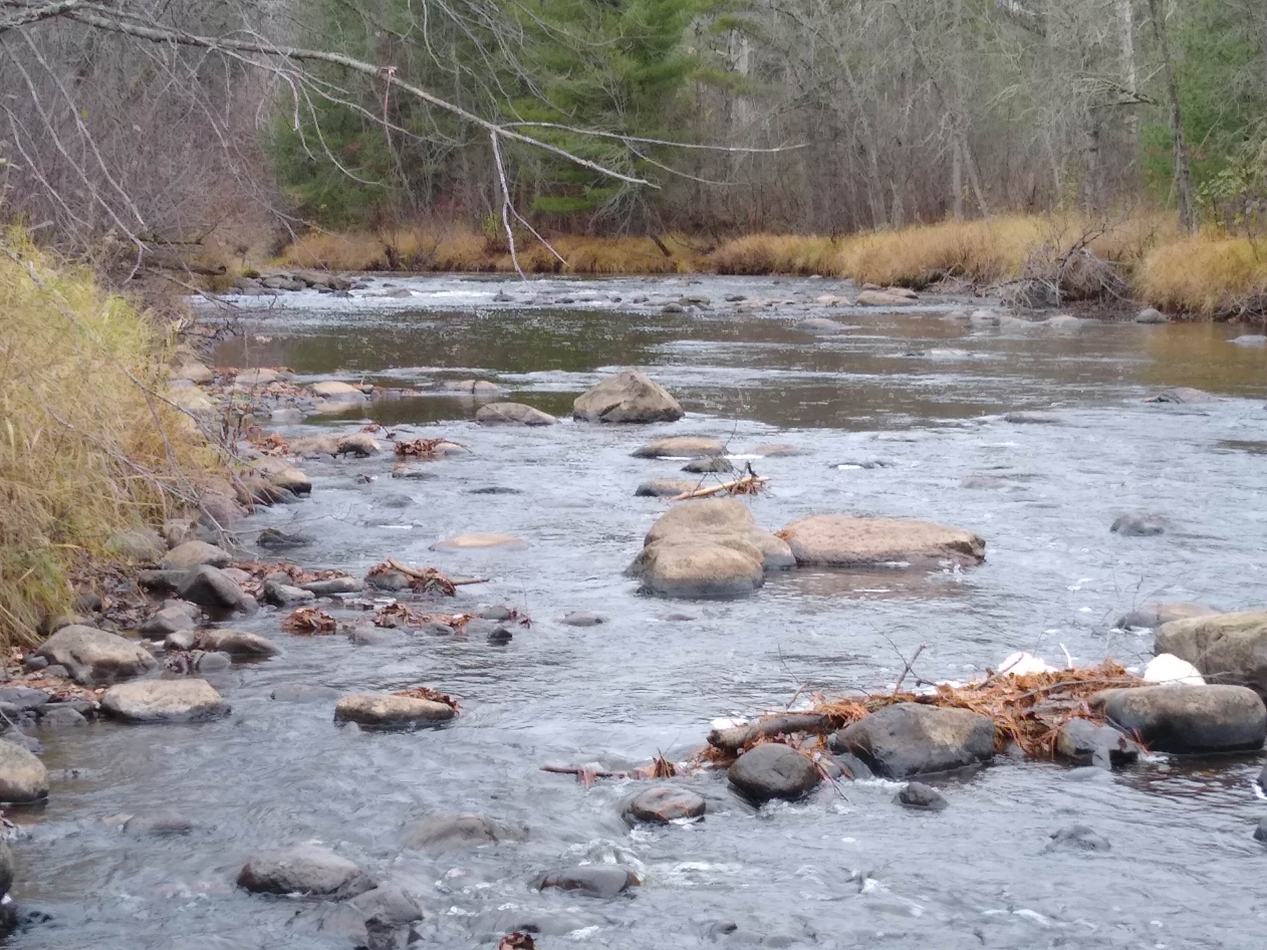 Camper submitted image from Saint Croix State Forest Boulder Campground - 4