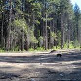 Review photo of Bridge Creek Campground by Megan W., May 23, 2018