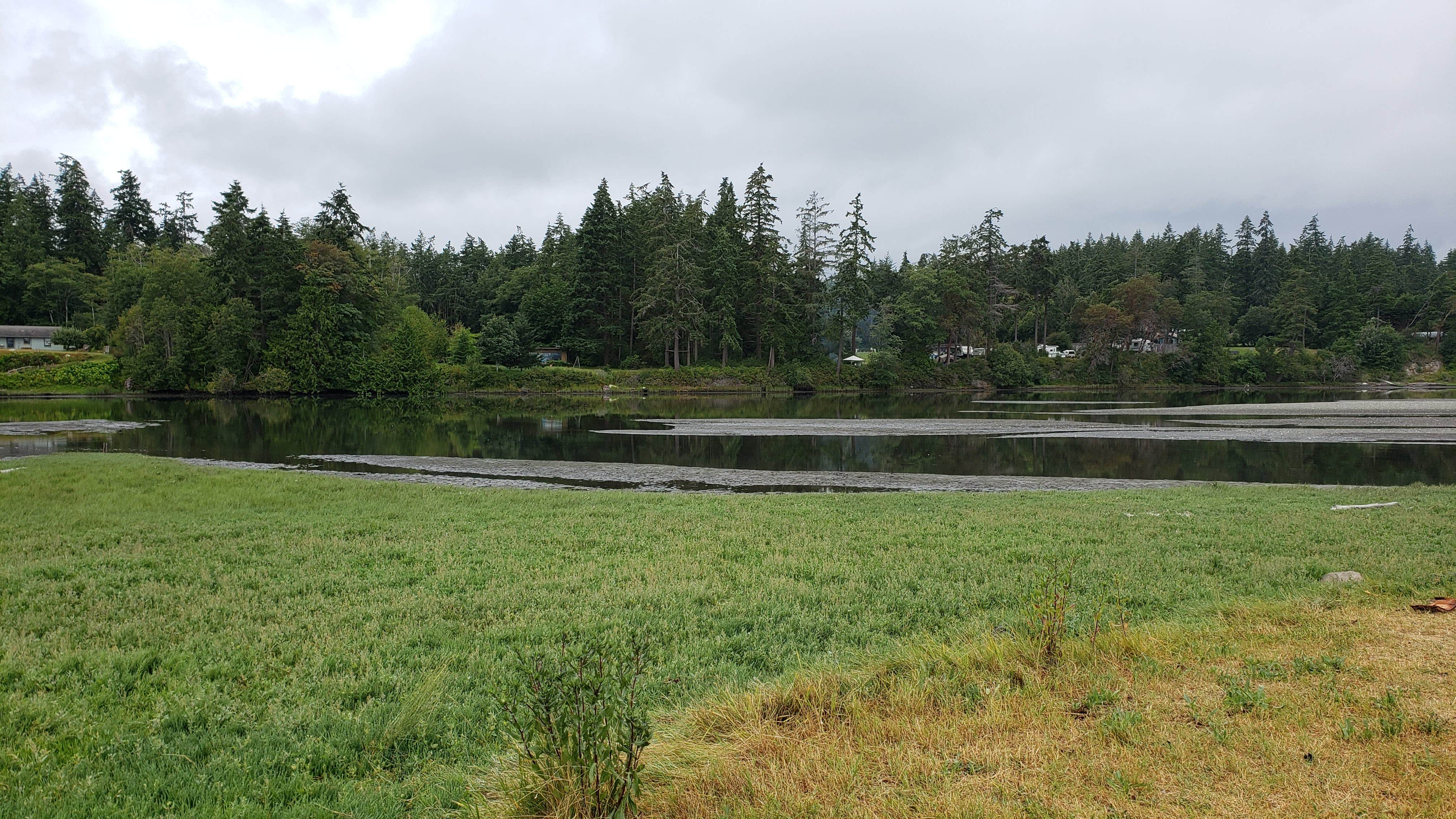 Camper submitted image from Lower Oak Bay Park - 3