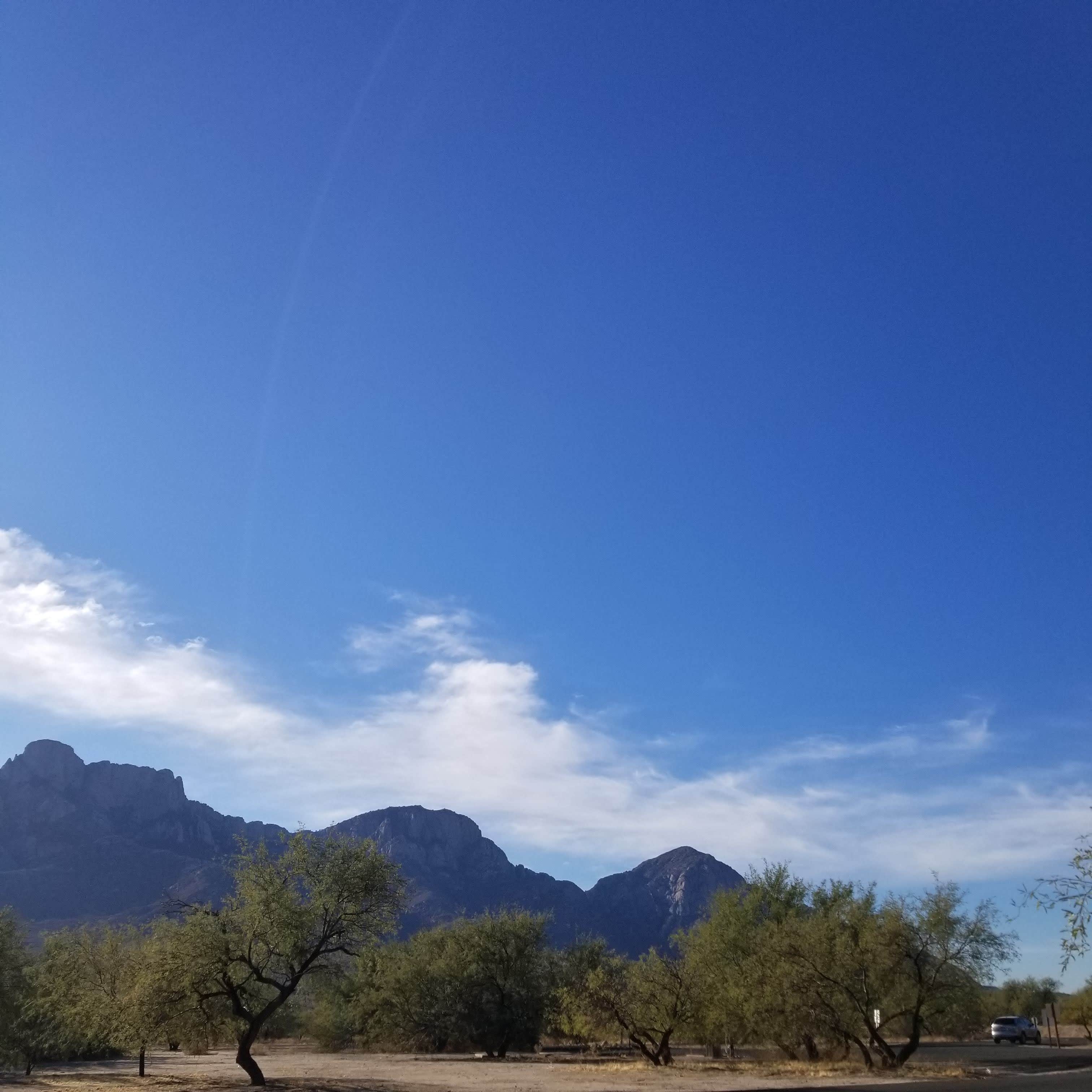 Camper-submitted photo at Catalina State Park Campground in Arizona