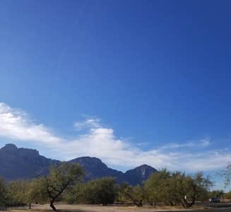 Camper-submitted photo from Catalina State Park Campground