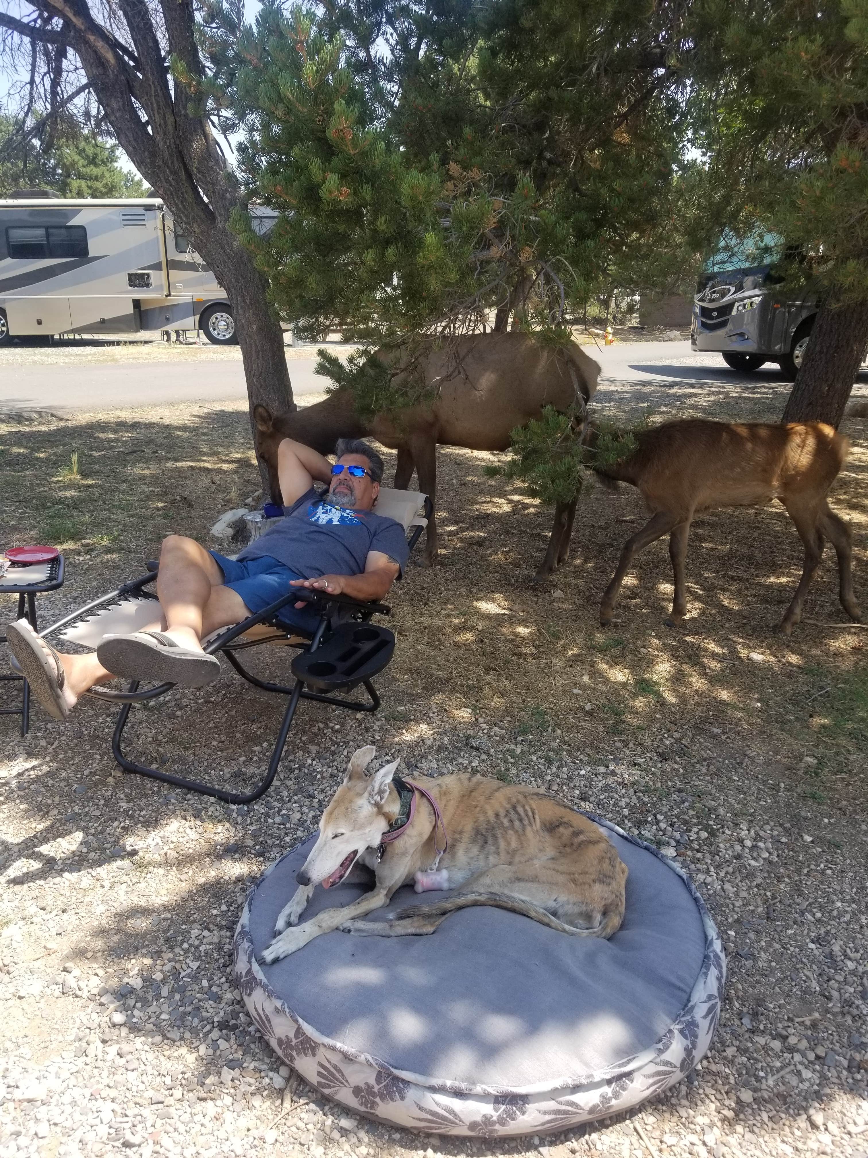 Camper-submitted photo at Trailer Village RV Park — Grand Canyon National Park near Supai, AZ