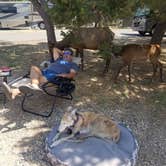 Review photo of Trailer Village RV Park — Grand Canyon National Park by Sherrie R., December 17, 2020