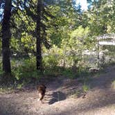 Review photo of Bridge Creek Campground by Megan W., May 23, 2018