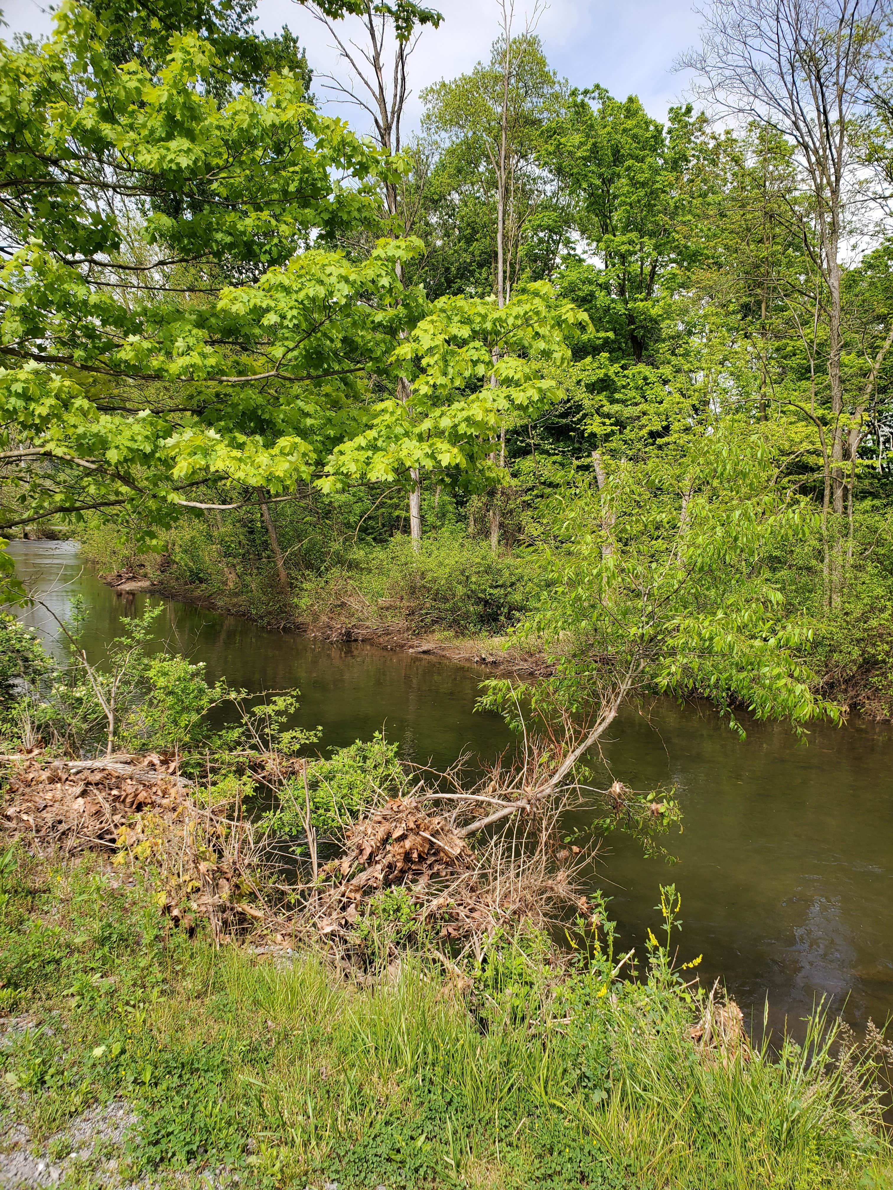 Camper submitted image from Paradise Stream Family Campground - 4