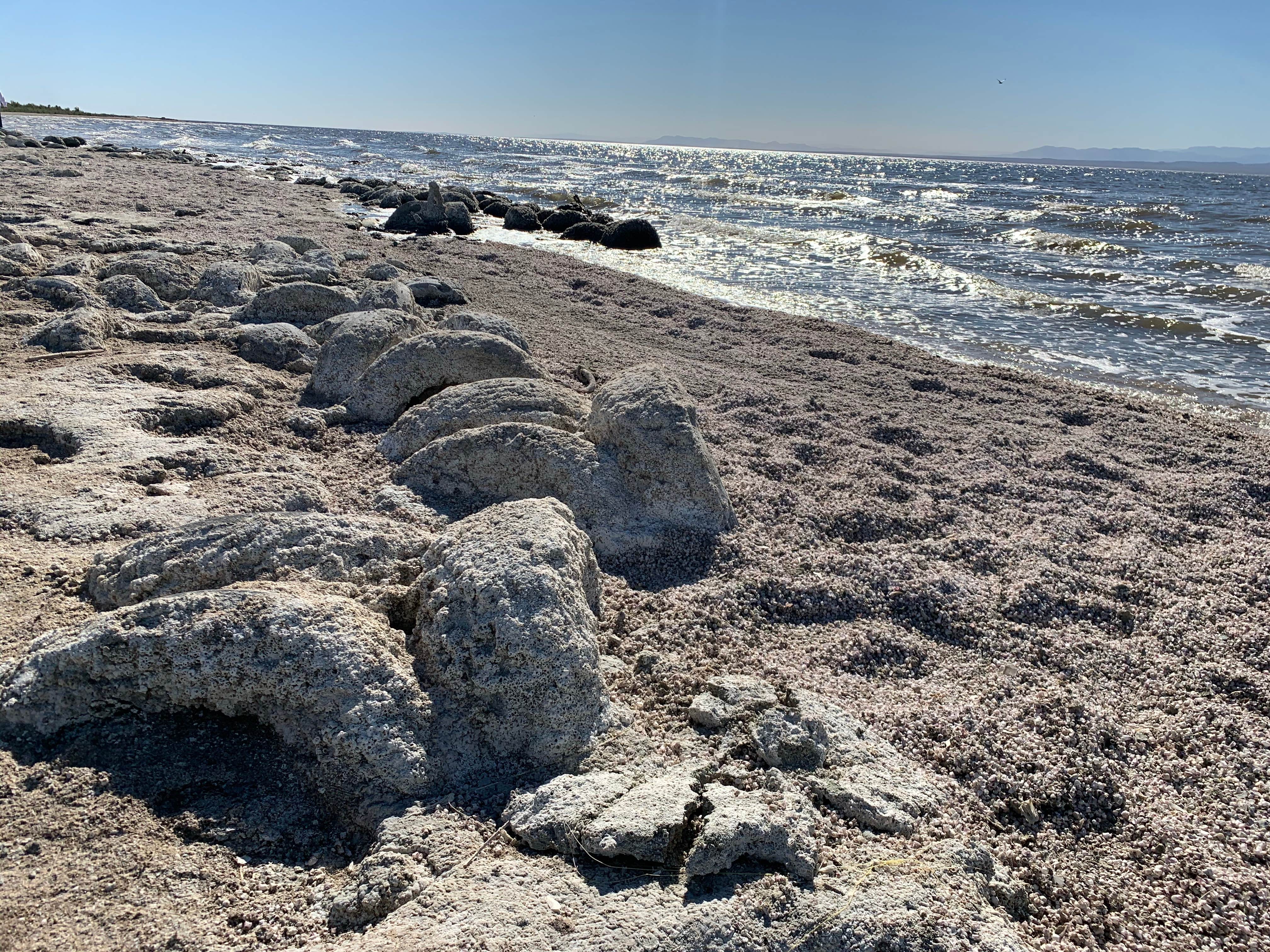 Camper submitted image from Salton Sea Sra - 4