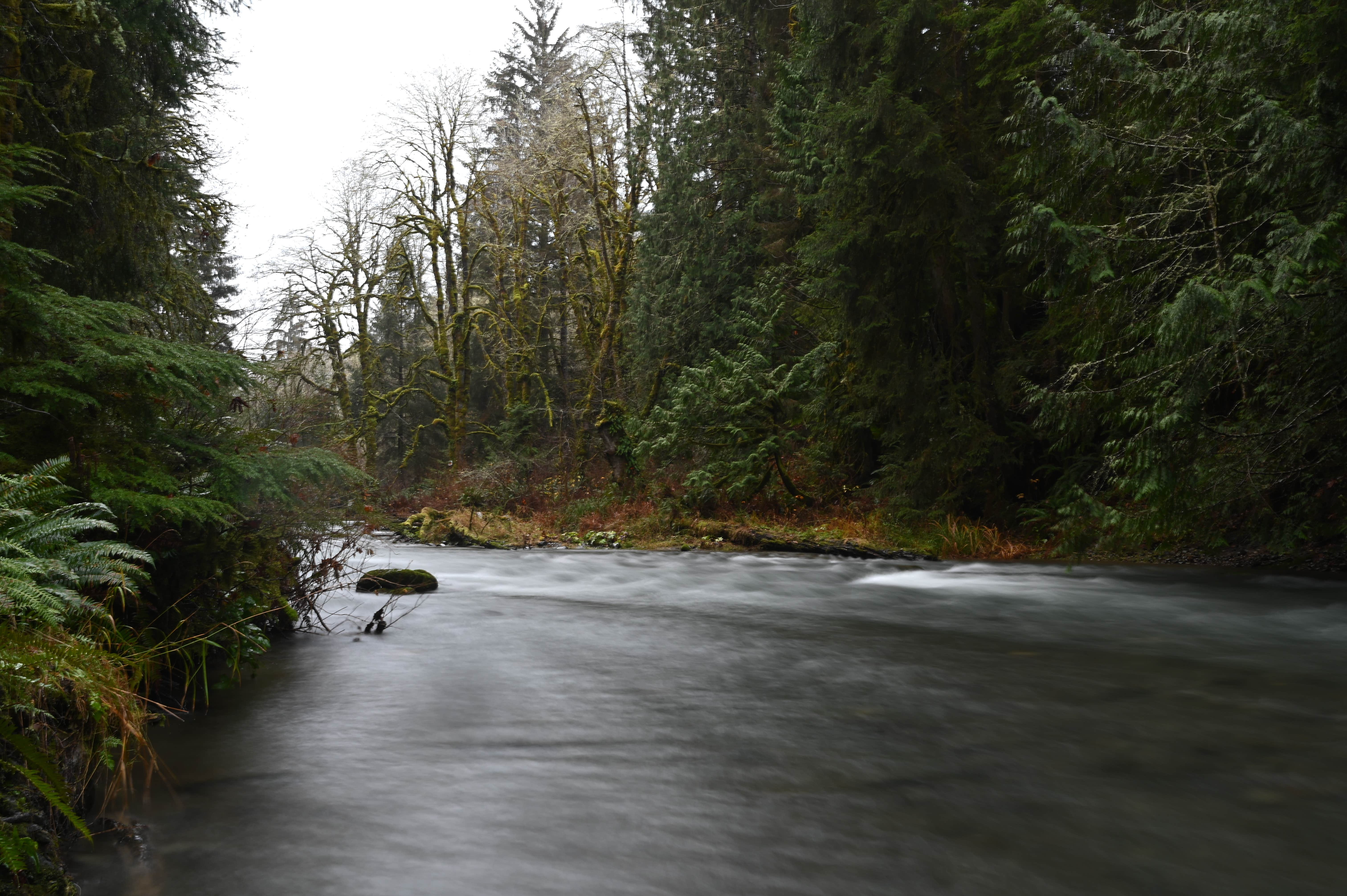 Camper-submitted photo at Lyre River Campground near Joyce, WA