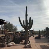 Review photo of Lost Dutchman State Park Campground by Beverly T., December 11, 2020
