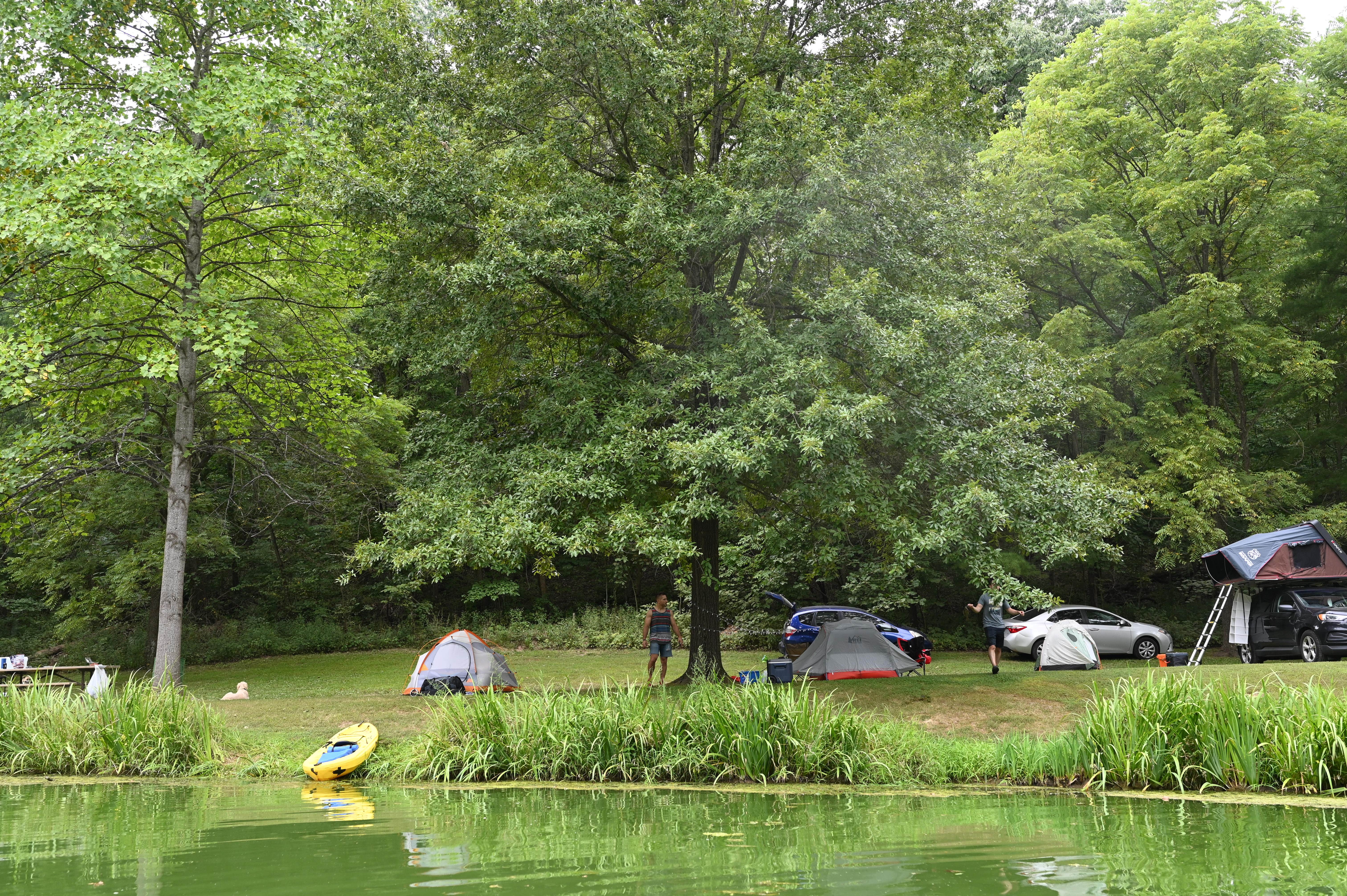 McCully Heritage Project