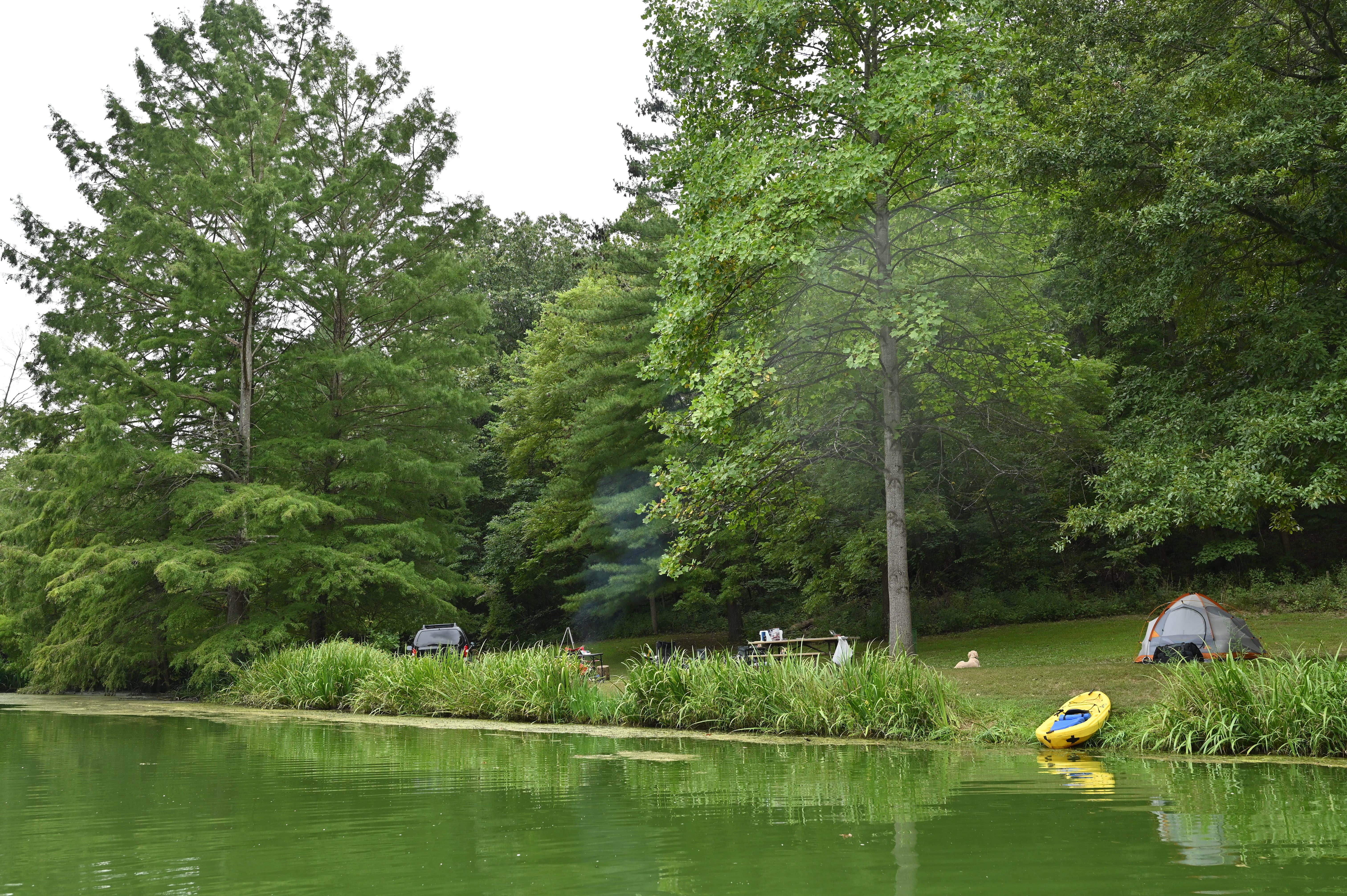 Camper-submitted photo at McCully Heritage Project near Pittsfield, IL