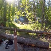 Review photo of Bridge Creek Campground by Megan W., May 23, 2018