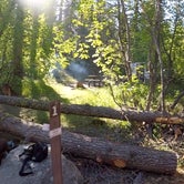 Review photo of Bridge Creek Campground by Megan W., May 23, 2018