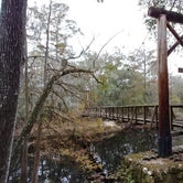 Review photo of O'Leno State Park Campground by Jennifer  B., December 10, 2020