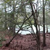 Review photo of Dogwood Campground — O'Leno State Park by Jennifer  B., December 10, 2020