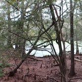 Review photo of O'Leno State Park Campground by Jennifer  B., December 10, 2020