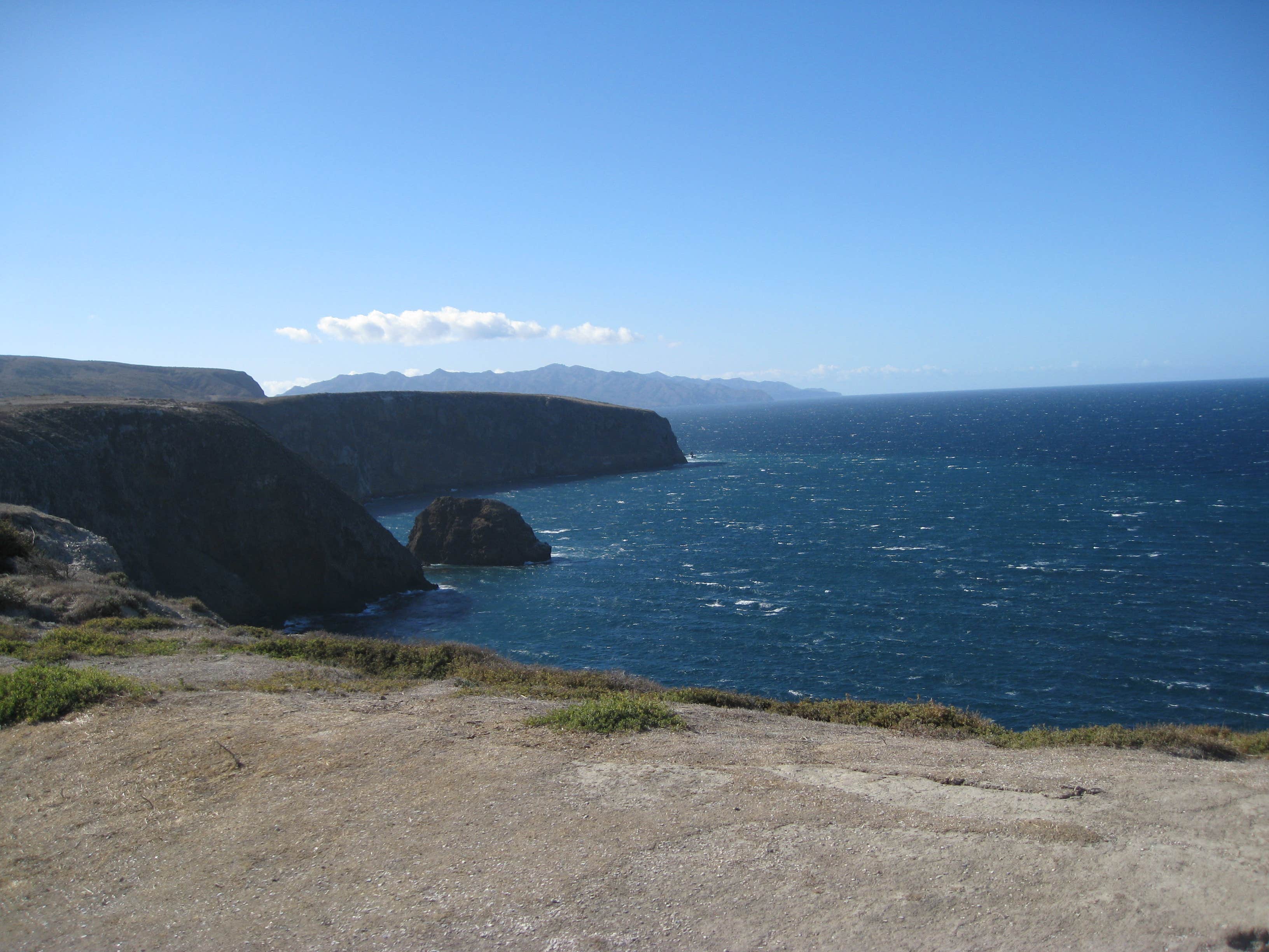 Camper submitted image from Santa Cruz Island Scorpion Canyon Campground — Channel Islands National Park - 3