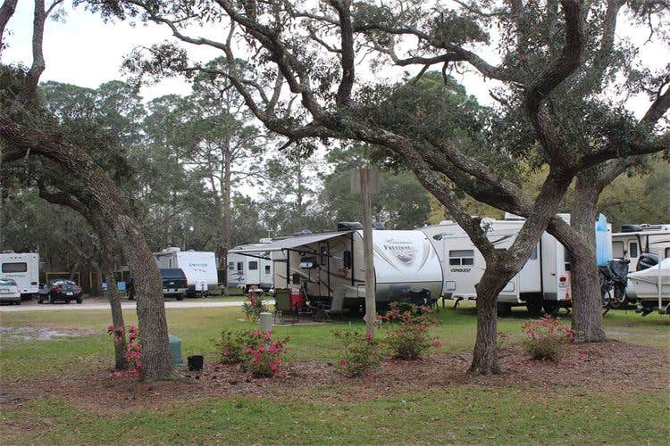 Camper-submitted photo at Panacea RV Park near Midway, FL