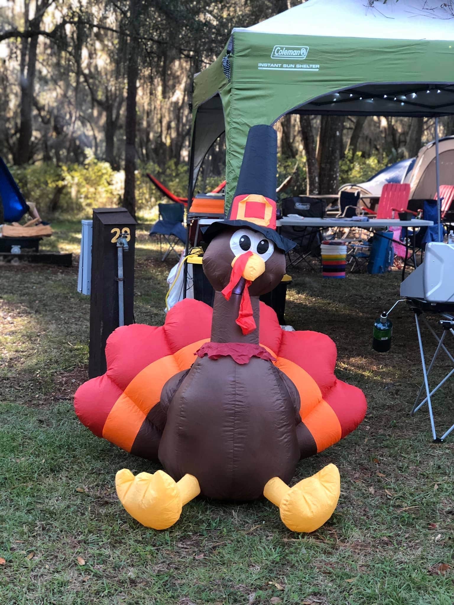 Doug E.'s photo at Tillis Hill Equestrian Campground — Withlacoochee State Forest near Crystal River, FL