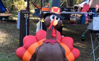 Doug E.'s photo at Tillis Hill Equestrian Campground — Withlacoochee State Forest near Homosassa, FL