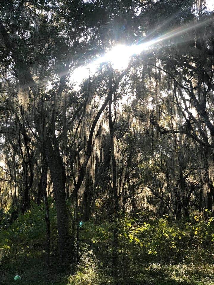 Camper-submitted photo at Tillis Hill Equestrian Campground — Withlacoochee State Forest near Hernando, FL