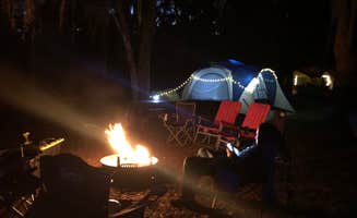 Doug E.'s photo at Tillis Hill Equestrian Campground — Withlacoochee State Forest near Spring Hill, FL