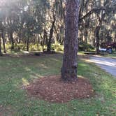 Review photo of Tillis Hill  Recreation Area - Withlacoochee State Forest by Doug E., December 18, 2020