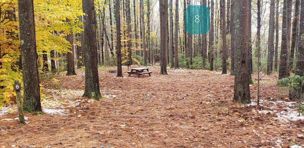 Camper submitted image from Willard Brook State Forest - 3