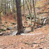 Review photo of Willard Brook State Forest by Jean C., December 18, 2020