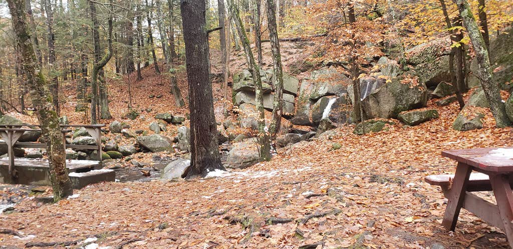 Escape to Serenity: Discover the Enchanting Willard Brook State Forest in Massachusetts