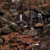 Review photo of Willard Brook State Forest by Jean C., December 18, 2020