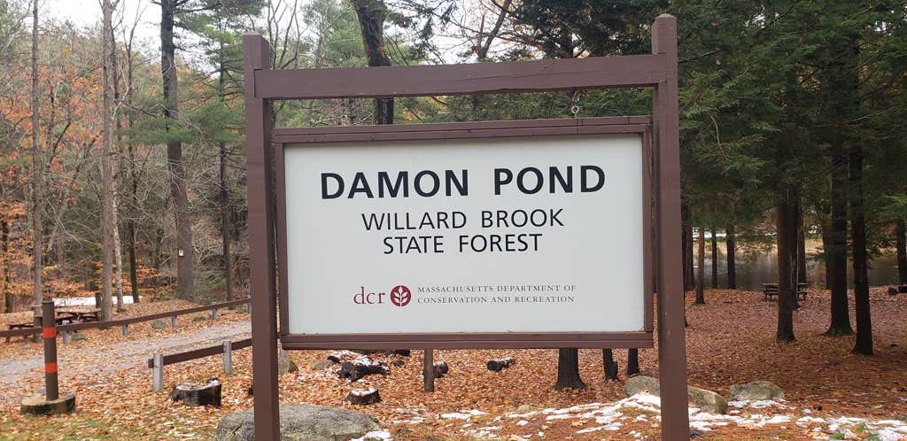 Camper-submitted photo at Willard Brook State Forest Campground near Ashby, MA