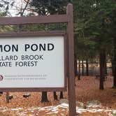 Review photo of Willard Brook State Forest by Jean C., December 18, 2020