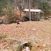 Review photo of Willard Brook State Forest by Jean C., December 18, 2020