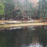 Review photo of Willard Brook State Forest by Jean C., December 18, 2020