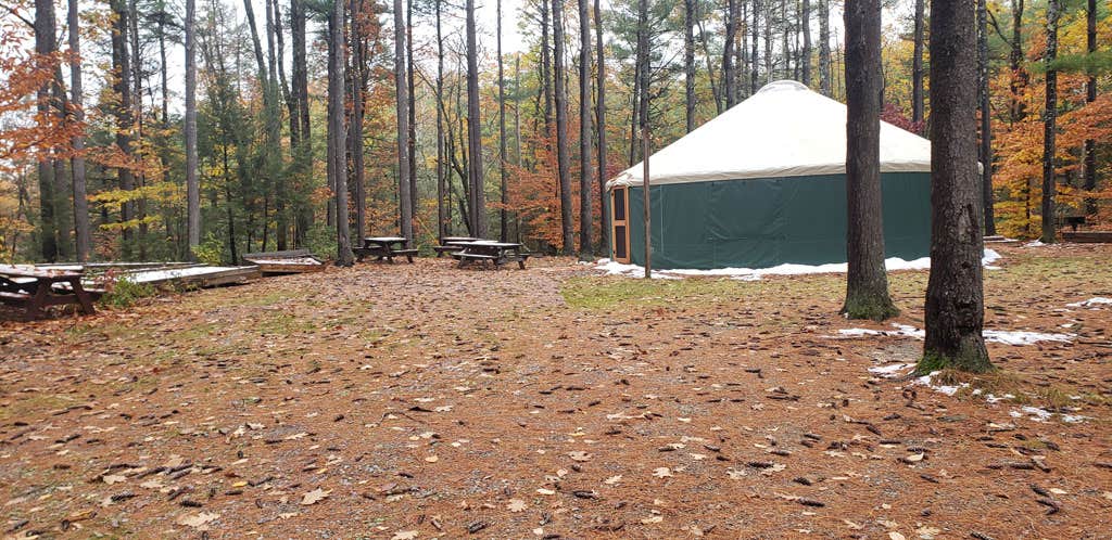 Jean C.'s photo at Willard Brook State Forest Campground near Barre, MA