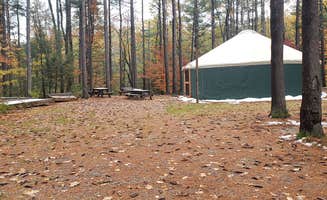 Jean C.'s photo at Willard Brook State Forest Campground near Jefferson, MA