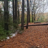 Review photo of Willard Brook State Forest by Jean C., December 18, 2020