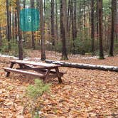 Review photo of Willard Brook State Forest by Jean C., December 18, 2020