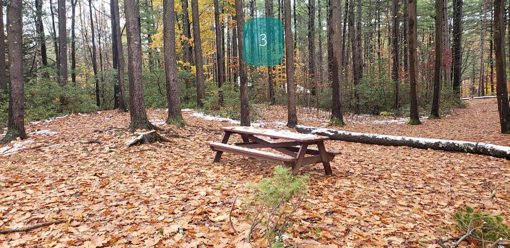 Camper submitted image from Willard Brook State Forest - 5