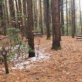 Review photo of Willard Brook State Forest by Jean C., December 18, 2020