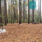 Review photo of Willard Brook State Forest by Jean C., December 18, 2020