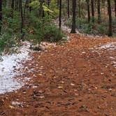 Review photo of Willard Brook State Forest by Jean C., December 18, 2020