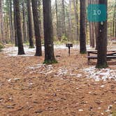 Review photo of Willard Brook State Forest by Jean C., December 18, 2020