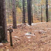 Review photo of Willard Brook State Forest by Jean C., December 18, 2020