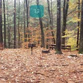 Review photo of Willard Brook State Forest by Jean C., December 18, 2020